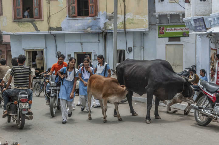53 - India - Udaipur
